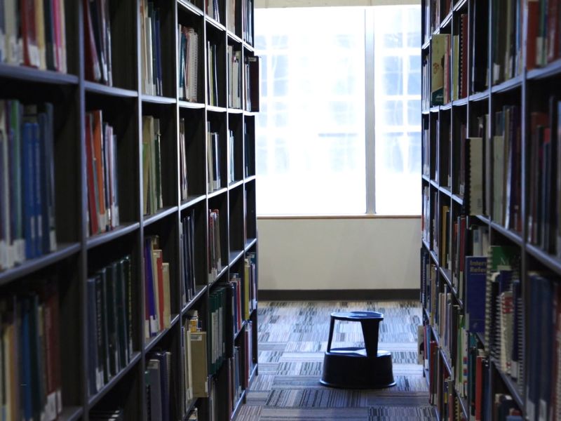 prikaz biblioteke i police sa knjigama